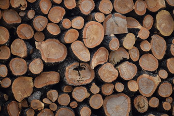 Firewood Background