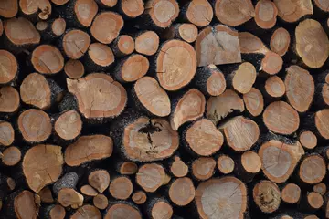 Möbelaufkleber Firewood Background © Store