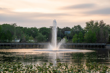 Lake Lily in Maitland, a suburb of Orlando, Florida