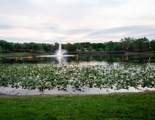 Lake Lily in Maitland, a suburb of Orlando, Florida