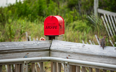 Leave a Note of Hope 