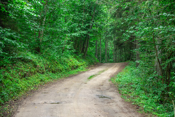 Obraz premium Country side road in the forest summer time