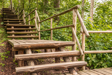 Wooden stairs and platform in the forest