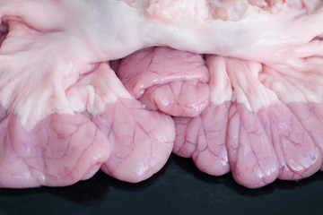 Fresh and Raw Pork Intestines.