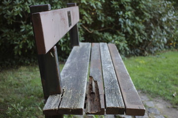 single chair in the park in the evening light