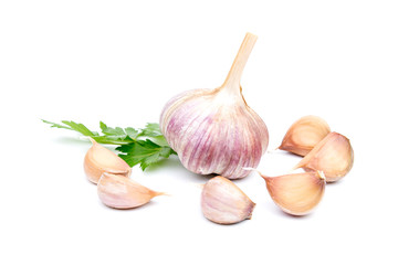 Garlic Cloves and Garlic Bulb on white background