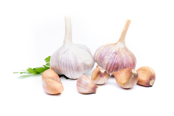Garlic Cloves and Garlic Bulb on white background