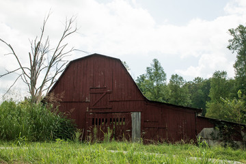 Obraz premium old red barn