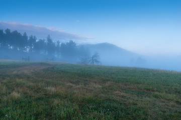 mist in the mountains covering trees