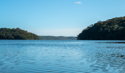 Trees and lake in Bungwahl, Australia