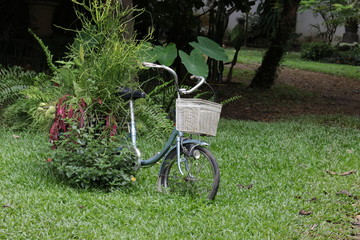 Fototapeta premium bicycle in the garden