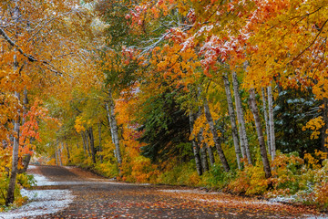Light snowfall on Wyoming Road near Copper Harbor in the Upper Peninsula of Michigan, USA