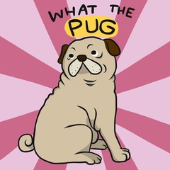 What the pug , cute fat pug cartoon vector illustration