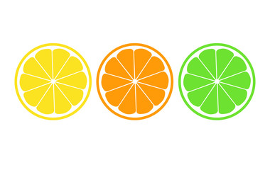 Citrus cross section icon illustration set