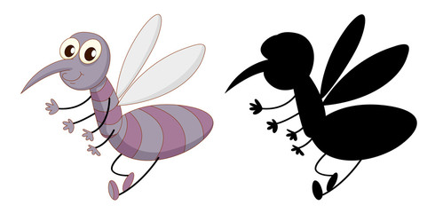 Set of insect cartoon character and its silhouette on white background