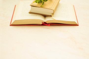 책이미지와 카피공간