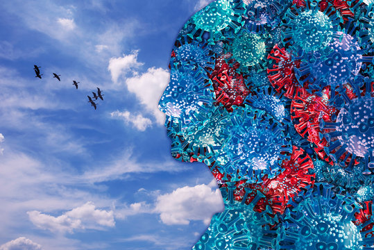 A flock of corona viruses and free birds flying through the blue sky. Combination of 3d rendering and photography