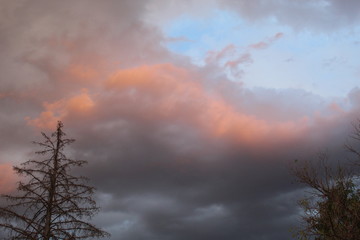 Obraz premium Pink clouds