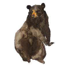 Bear watercolor drawing hand drawn illustration isolated on white background. Sitting brown bear, wild forest animals.