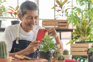 Senior asian retirement old man in casual outfit doing a hobby with happy and relax using smartphone to take a photo from plant in greenhouse garden farm