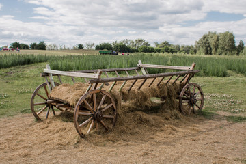 old wooden cart in a field in summer