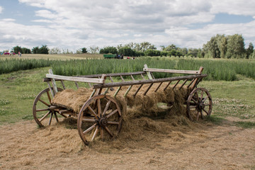 Fototapeta na wymiar old wooden cart in a field in summer