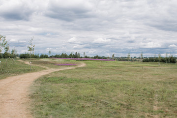 Fototapeta premium road in a green meadow in a field