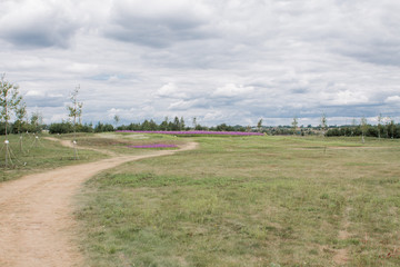 Fototapeta na wymiar road in a green meadow in a field