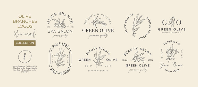 Set of Olive branch with leaves logo design template in simple minimal linear style. Abstract Feminine Vector Signs with Floral Illustration for Beauty Studio, SPA, Organic cosmetics, creative studio