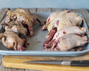 Wild duck carcasses in a tray. One row of washed carcasses, the other row only scorched, have to be washed. The process of processing wild ducks for cooking. Opening of the autumn hunting