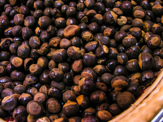 Guarana seeds (Paullinia cupana) Sapindaceae Family, with selective focus in Brazil