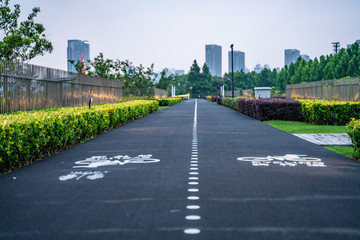 A lane specific for bicycles in Expo Park, along the Huangpu River, in Shanghai.