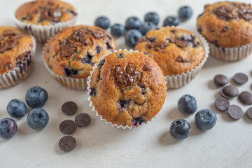 chocolate chip muffins with blueberries