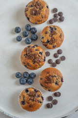 chocolate chip muffins with blueberries