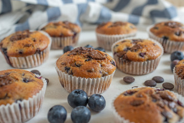 chocolate chip muffins with blueberries