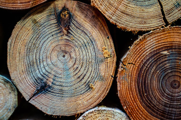 Close shot of the stacked logs.