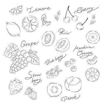 様々なフルーツのモノクロ線画イラスト