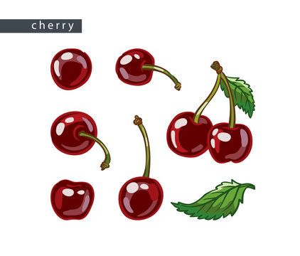 sketch_cherry_set