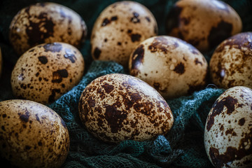 Naklejka na ściany i meble quail eggs lie on turquoise gauze