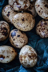 Obraz premium quail eggs lie on turquoise gauze