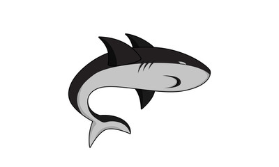 shark illustration vector