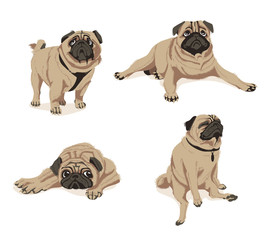 Cute fawn pug dogs set. Adorable friendly chubby pet animal in in different poses cartoon vector illustration isolated on white background