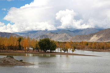 Autumn view of mountains, Yarlung Tsangpo river and Poplar trees with the dramatic sky in Lhasa,...