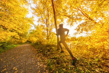 Autumn outdoor sport woman training in forest nature park running outside.