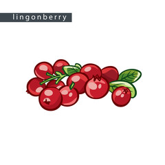 sketch_lingonberry_average_pile