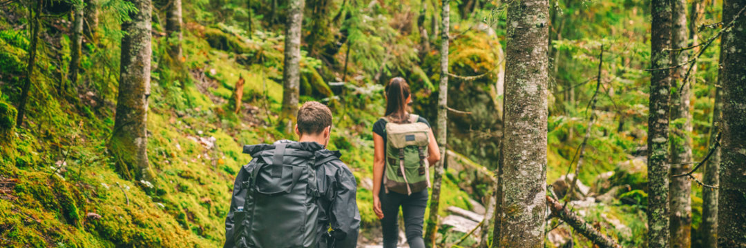 Hikers walking in forest trek banner. Couple hiking trail in autumn nature going camping with backpacks. Friends woman and man on mountain in Quebec travel, Canada.