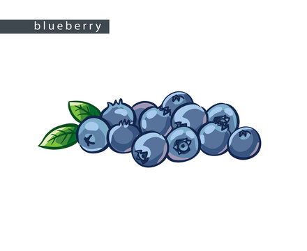 sketch_blueberry_big_bunch