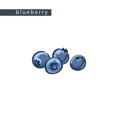 sketch_blueberry_four_berries