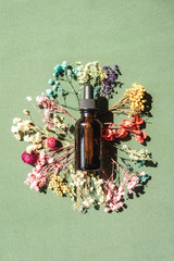 Top view of bottle with pipette on green background. Dried multicolored flowers around bottle....