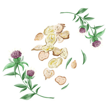 3 747 Best 漢方薬 Images Stock Photos Vectors Adobe Stock